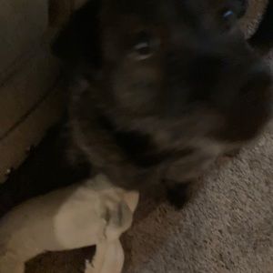 Meet your Posher, Zachary